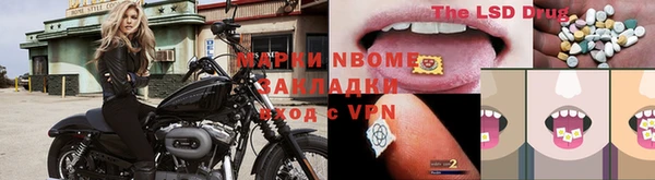 стафф Аркадак
