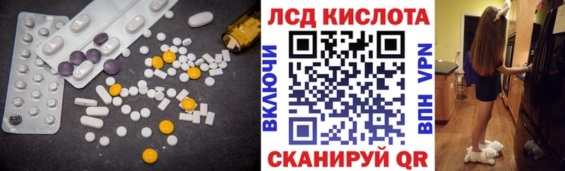 где купить наркоту  Питкяранта  Лсд 25 экстази ecstasy 