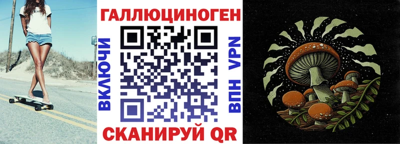 Галлюциногенные грибы Psilocybe  где найти   KRAKEN маркетплейс  Питкяранта 